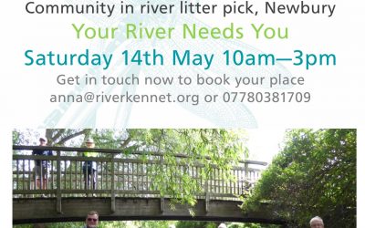 Join in this Lambourn River litterpick!